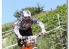 2013-07-13 -D47I5917